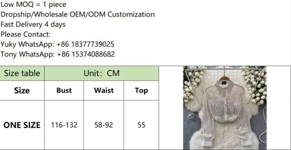 LE4031 Senior Sense Sequin Fringe Shirt Women'S Spring New Thin See-Through Gauze Blouse Shirt - Image 6