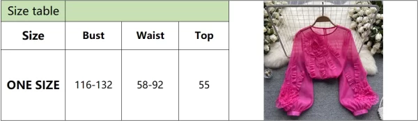 LE4012 French Heavy Industry Three-Dimensional Flower Long-Sleeved Shirt Women Spring and Summer New Sweet Loose Thin Chiffon - Image 6