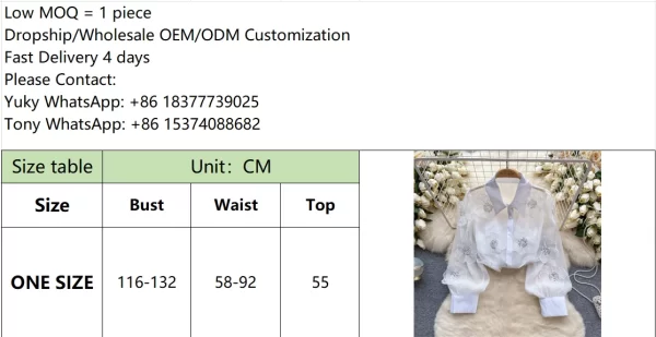 LE4030 High-End Beaded Sequin Three-Dimensional Flower Shirt Women 2025 Spring New See-Through Mesh French Top - Image 6