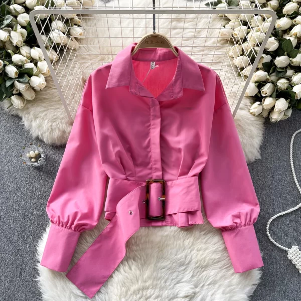 LE4020 Haruhi Blouse Woman Design Pressure-Sensitive Pleated Waist Slimming Short French Puffy Sleeve Top - Image 4